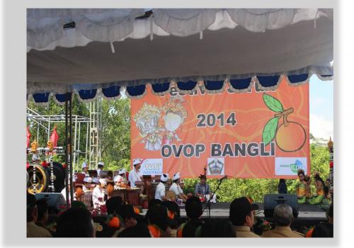 Festival Jeruk di Kecamatan Susut, Bangli