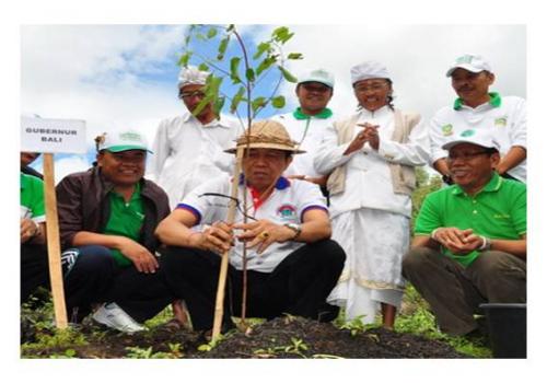 Penanaman pohon di Kawasan Kaldera Batur